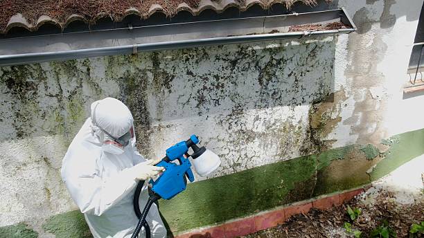 Trusted Attic Mold Removal service in Fairplay, GA - Cheap Mold Removal